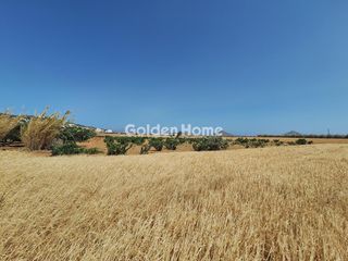 Αγροτεμάχια 21.731 τ.μ. για πώληση