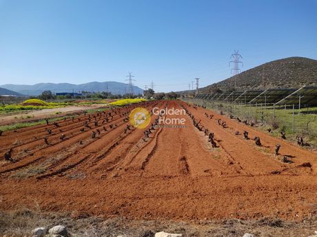 Αγροτεμάχια 2.750τ.μ. για πώληση-Μαρκόπουλο » Κέντρο