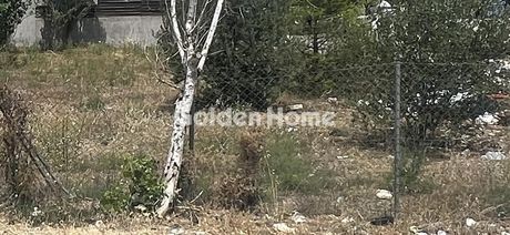 Οικόπεδο 460τ.μ. για πώληση-Μαρκόπουλο » Πόρτο ράφτη