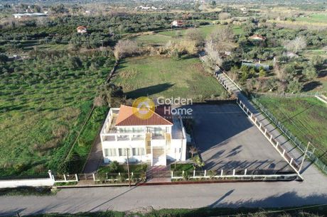 Επιχειρηματικό κτίριο 800τ.μ. για ενοικίαση-Πύργος » Λασταίικα