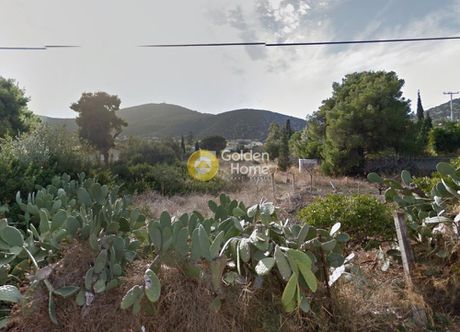 Οικόπεδο 767τ.μ. για πώληση-Μαρκόπουλο » Κουλιδάς