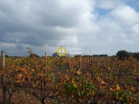 Οικόπεδο 9.500τ.μ. για πώληση-Νίκος καζαντζάκης » Αλάγνι