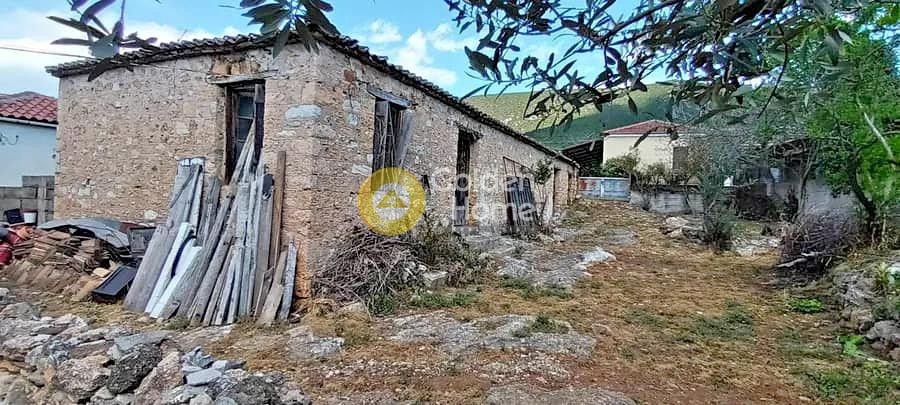 Οικόπεδο 341 τ.μ. πρός πώληση, Μαγνησία, Σούρπη