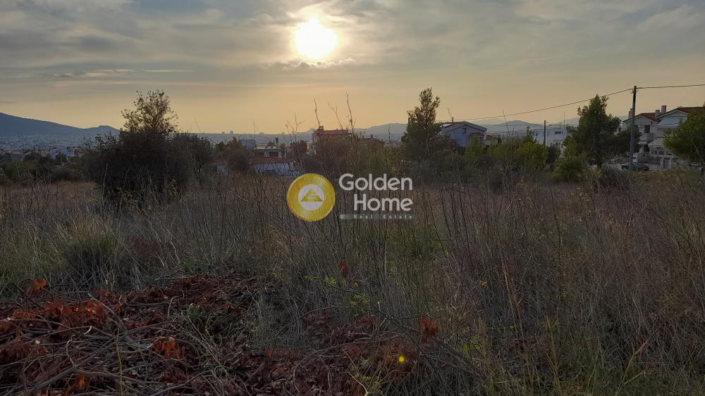 Αγροτεμάχια 3.238 τ.μ. πρός ενοικίαση, Αθήνα - Βόρεια Προάστια, Χαλάνδρι