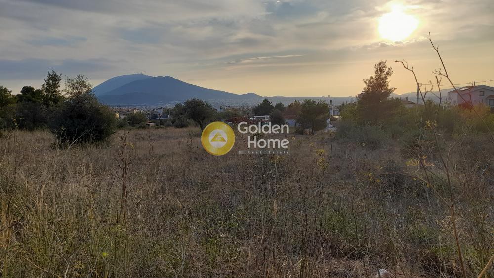 Αγροτεμάχια 3.238 τ.μ. πρός ενοικίαση, Αθήνα - Βόρεια Προάστια, Χαλάνδρι