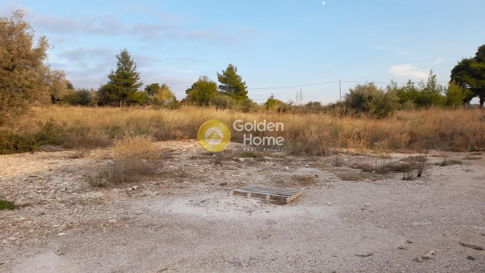 Αγροτεμάχια 3.238 τ.μ. πρός ενοικίαση, Αθήνα - Βόρεια Προάστια, Χαλάνδρι