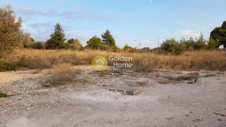 Parcel 3.238sqm for rent-Chalandri » Ano Patima