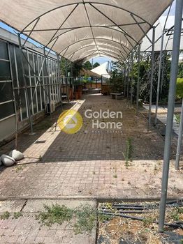 Κατάστημα 238τ.μ. για πώληση-Ωραιόκαστρο » Γαλήνη