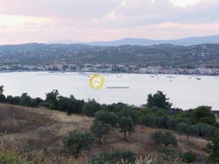 Αγροτεμάχια 16.843 τ.μ. προς πώληση, Πανόραμα Κρανιδίου-thumb-2