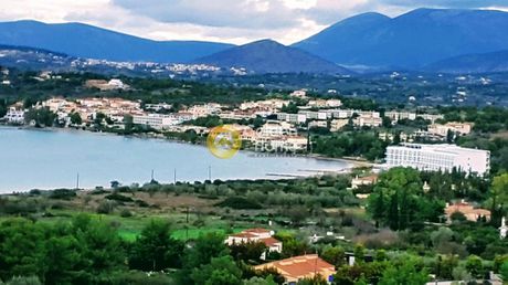 Αγροτεμάχια 16.843τ.μ. για πώληση-Κρανίδι » Πορτοχέλι