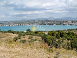 Αγροτεμάχια 16.843 τ.μ. προς πώληση, Πανόραμα Κρανιδίου-thumb-1
