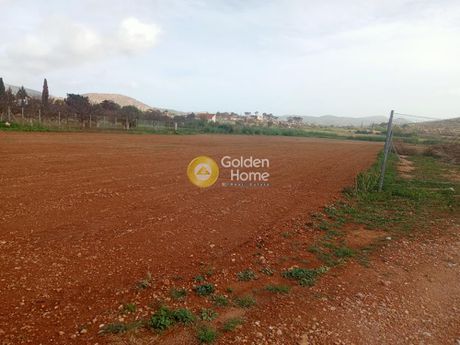 Αγροτεμάχια 10.356τ.μ. για ενοικίαση-Κερατέα » Αρί