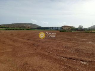 Αγροτεμάχια 10.356 τ.μ. για ενοικίαση, Αττική - Υπόλοιπο, Κερατέα-thumb-5