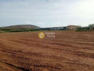Αγροτεμάχια 10.356 τ.μ. για ενοικίαση, Αττική - Υπόλοιπο, Κερατέα-thumb-6
