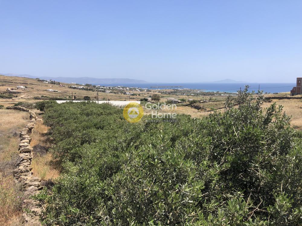 Αγροτεμάχια 10.000 τ.μ. προς πώληση, Τσουκαλάς