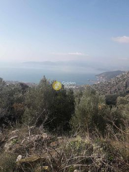 Οικόπεδο 5.292τ.μ. για πώληση-Αγριά » Ανεμούτσα