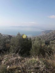 Οικόπεδο 5.292 τ.μ. για πώληση