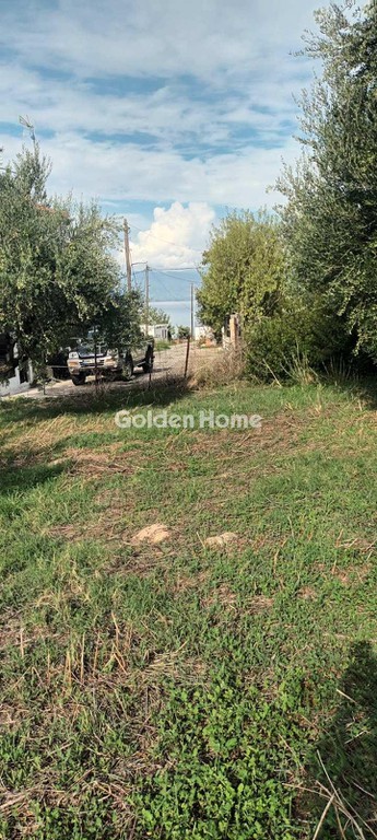 Οικόπεδο 2.410 τ.μ. προς πώληση, Κάστρο Πεταλιδίου