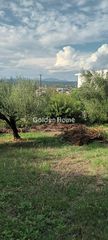 Οικόπεδο 2.410 τ.μ. προς πώληση, Κάστρο Πεταλιδίου-thumb-2