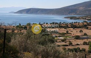 Αγροτεμάχια 5.850 τ.μ. για πώληση