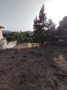 Οικόπεδο 500τ.μ. για πώληση-Κερατέα » Συντερίνα