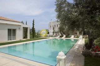 Ξενοδοχείο 560 τ.μ. για πώληση, Εύβοια, Ανθηδώνος-thumb-18