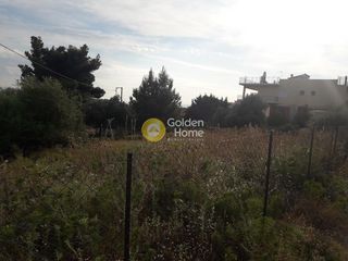 Οικόπεδο 603 τ.μ. για πώληση, Εύβοια, Ληλάντιο-thumb-7