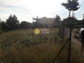Οικόπεδο 603 τ.μ. για πώληση, Εύβοια, Ληλάντιο-thumb-9