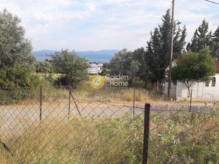 Οικόπεδο 603 τ.μ. για πώληση, Εύβοια, Ληλάντιο-thumb-8