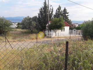 Οικόπεδο 603 τ.μ. για πώληση