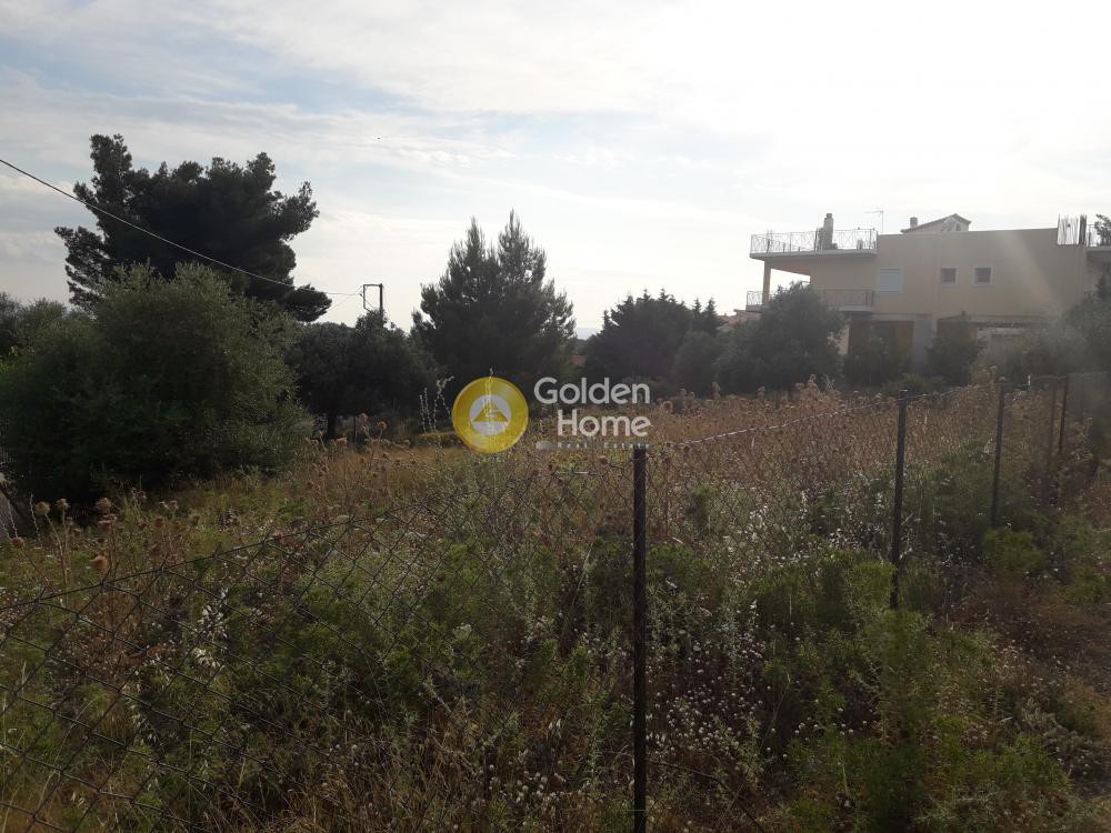 Οικόπεδο 603 τ.μ. προς πώληση, Πανόραμα Ληλαντίου