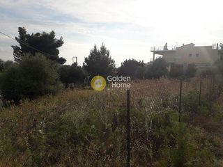 Οικόπεδο 603 τ.μ. για πώληση, Εύβοια, Ληλάντιο-thumb-2