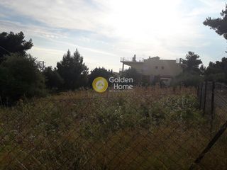 Οικόπεδο 603 τ.μ. για πώληση, Εύβοια, Ληλάντιο-thumb-3