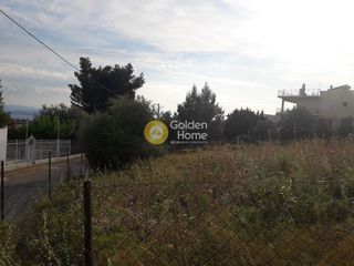 Οικόπεδο 603 τ.μ. για πώληση, Εύβοια, Ληλάντιο-thumb-5