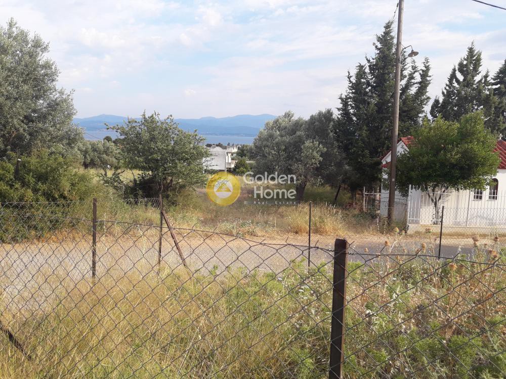 Οικόπεδο 603 τ.μ. προς πώληση, Πανόραμα Ληλαντίου