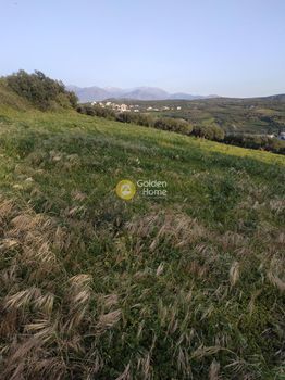 Οικόπεδο 3.500τ.μ. για πώληση-Νίκος καζαντζάκης » Καλλονή