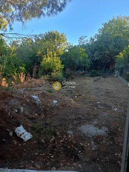 Οικόπεδο 720τ.μ. για πώληση-Κορώνεια » Αλαλκομενές