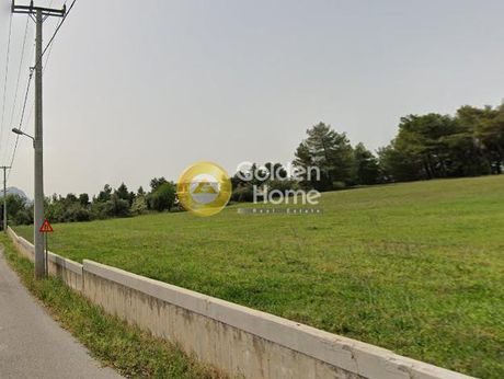Αγροτεμάχια 4.010τ.μ. για πώληση-Γραμματικό » Κατηφόρι