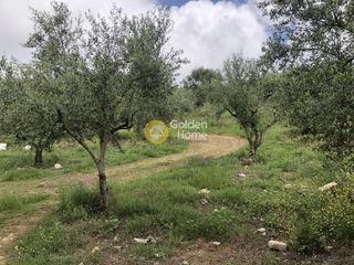 Αγροτεμάχια 11.100 τ.μ. για πώληση, Μεσσηνία, Αυλώνα-thumb-15