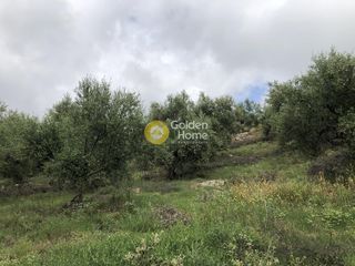 Αγροτεμάχια 11.100 τ.μ. για πώληση, Μεσσηνία, Αυλώνα-thumb-10
