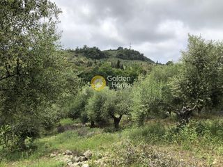 Αγροτεμάχια 11.100 τ.μ. για πώληση, Μεσσηνία, Αυλώνα-thumb-12