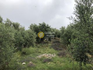 Αγροτεμάχια 11.100 τ.μ. για πώληση, Μεσσηνία, Αυλώνα-thumb-8