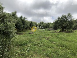 Αγροτεμάχια 11.100 τ.μ. για πώληση, Μεσσηνία, Αυλώνα-thumb-1