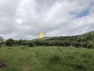 Αγροτεμάχια 11.100 τ.μ. για πώληση, Μεσσηνία, Αυλώνα-thumb-7