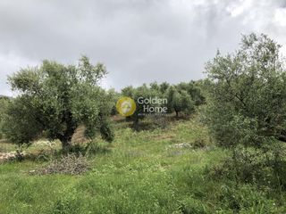 Αγροτεμάχια 11.100 τ.μ. για πώληση, Μεσσηνία, Αυλώνα-thumb-9