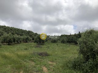 Αγροτεμάχια 11.100 τ.μ. για πώληση, Μεσσηνία, Αυλώνα-thumb-4