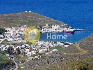 Αγροτεμάχια 6.500 τ.μ. για πώληση