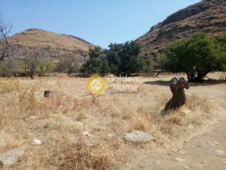 Αγροτεμάχια 6.500 τ.μ. προς πώληση, Φωτημάρι