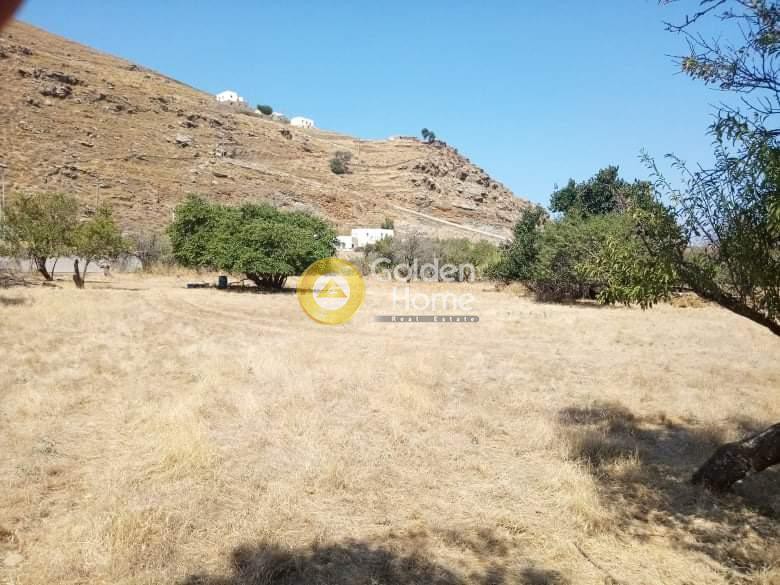 Αγροτεμάχια 6.500 τ.μ. προς πώληση, Φωτημάρι