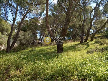 Οικόπεδο 400 τ.μ. για πώληση